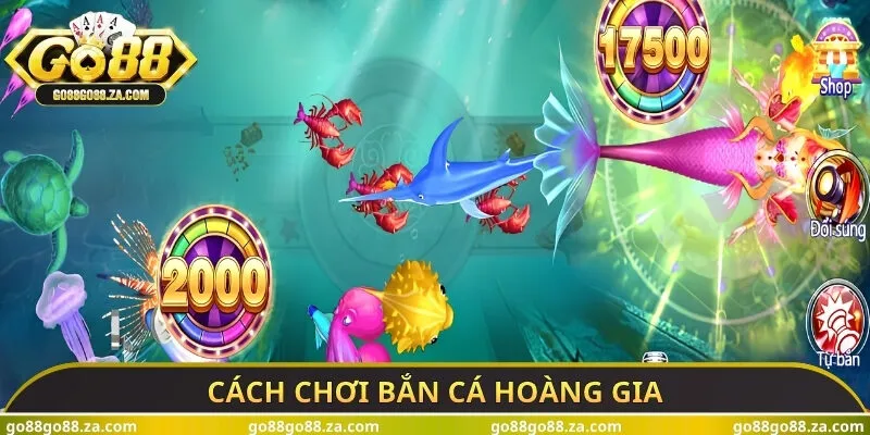 Cách chơi bắn cá hoàng gia