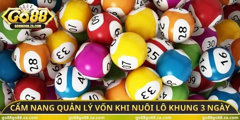 Cẩm nang quản lý vốn khi nuôi lô khung 3 ngày