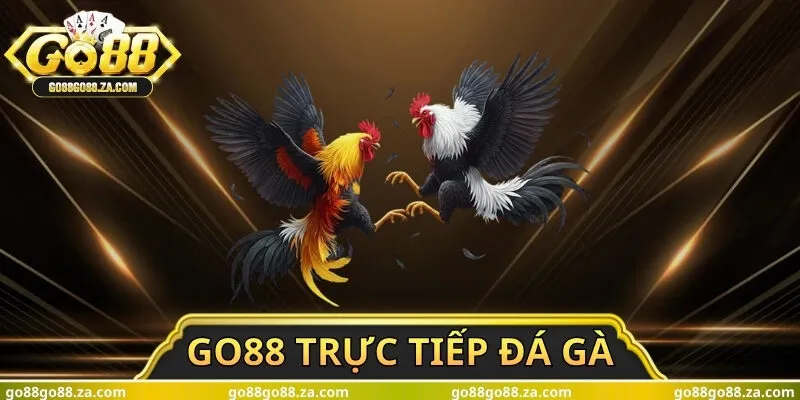 Go88 Trực Tiếp Đá Gà