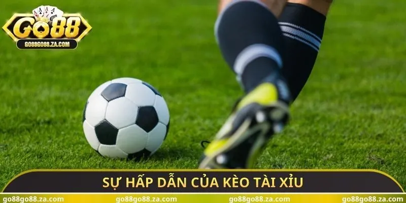 Sự hấp dẫn của kèo tài xỉu