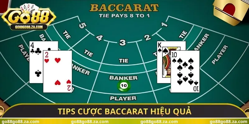 Tips cược Baccarat hiệu quả